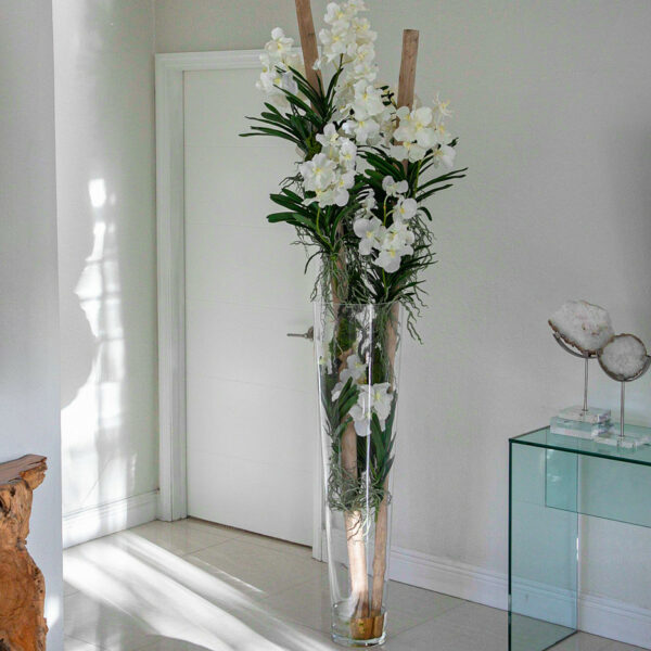 White Vanda Orchids with Driftwood in a Large Conical Glass Cylinder