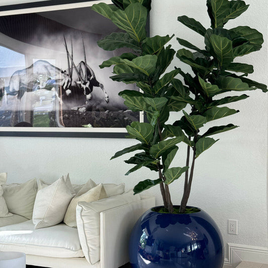 30″ Blue Globe Vase with Fiddle Leaf Fig