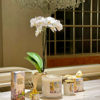 Room Fragrance Parisian Rendezvous with Scent Sticks