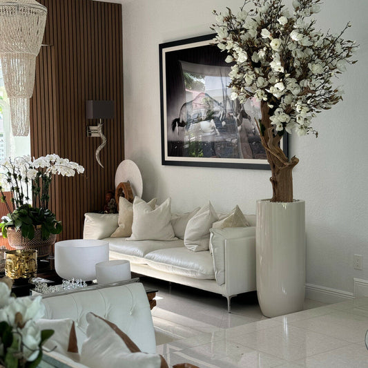 White Magnolia Tree in Shiny St. Tropez Beige Pot