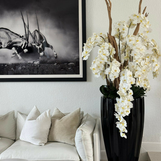 San Jose Vase in glossy black with hanging yellow orchids