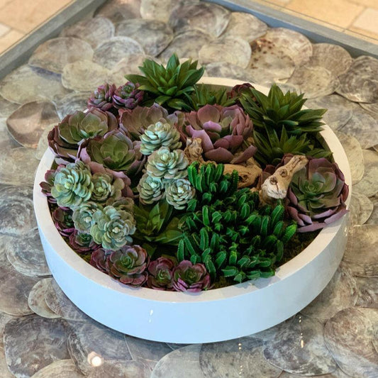 Max Bowl with Mixed Artificial Succulents